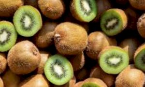 'Sos kiwi': nella Granda in quattro anni perso il 15 per cento dei frutteti