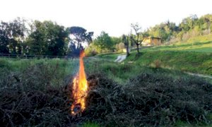 'Si blocchino le deroghe al divieto di abbruciamento di materiale vegetale'