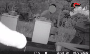 Sommariva Perno, la notte avvelenava gli alveari di un apicoltore: ora è nei guai