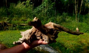 Premiati i vincitori della quarta edizione dei Trofei MaB UNESCO Monviso