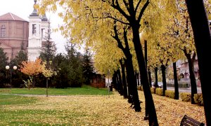 Bra: torna lo sportello telefonico psicologico di ascolto