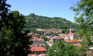 Santo Stefano Belbo, il gruppo di lettura della Biblioteca si sposta on-line