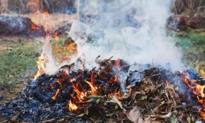 Deroga al divieto di abbruciamento di materiale vegetale a Busca e Chiusa Pesio