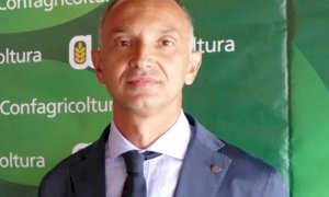 Confagricoltura 'sfida' McDonald's: ''Le polpette vegetali non faranno concorrenza alla Piemontese''