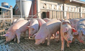 Confagricoltura: ''L’origine in etichetta per salumi e prosciutti premierà le produzioni piemontesi''