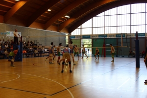 Gestione delle strutture sportive