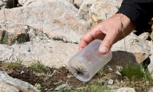 Con 'Echi di CClimaTT' si chiude la rassegna webinar di sensibilizzazione sulla crisi climatica