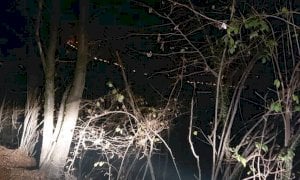 Diversi ettari di sottobosco bruciati tra Roccasparvera e Cervasca