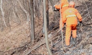 Roccasparvera, è ripartito l'incendio boschivo scoppiato stanotte