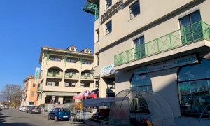 Coldiretti Cuneo tiene il punto: ''Subito misure straordinarie contro l'emergenza cinghiali''