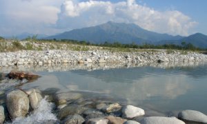 Al via i laboratori online del Parco Fluviale Gesso e Stura