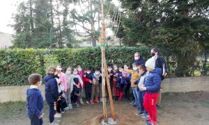 Cerimonia a Pollenzo per la Giornata degli Alberi