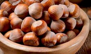 Nocciole Made in Cuneo, Coldiretti: ''Prezzi in caduta libera''