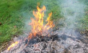 Saluzzo, il Comune fissa due 'finestre' per bruciare gli scarti vegetali