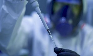 Coronavirus, in Piemonte mille nuovi casi in meno nelle ultime 24 ore (ma scendono anche i tamponi)