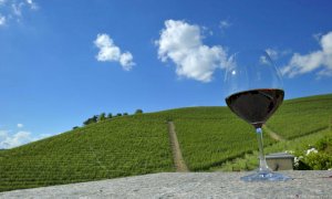 Collisioni lancia la campagna 'AgriFamily Vibes' a sostegno dei piccoli produttori agricoli