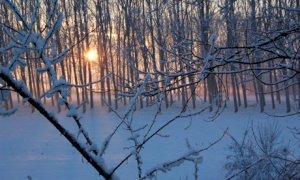 Arpa Piemonte dichiara l'allerta gialla per le nevicate delle prossime ore