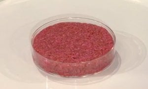 Coldiretti Piemonte: ''Il 75% degli italiani boccia la carne in provetta''