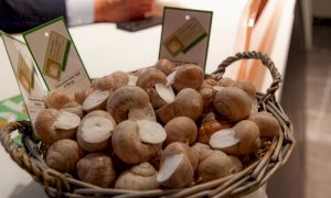 'Sotto il Segno della Lumaca': la chiocciola d’asporto nei ristoranti di Borgo e delle valli