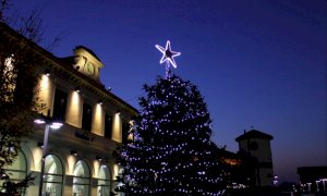 Brilla in piazza Roma l’albero di Natale di Bra