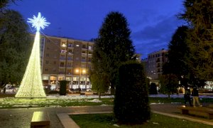 Cuneo, tre alberi di Natale condivisi per i quartieri 'della Boa' 