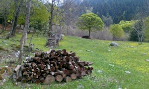 Concluse le azioni selvicolturali del PSR 2007-2013 nei territori del Marguareis e delle Marittime