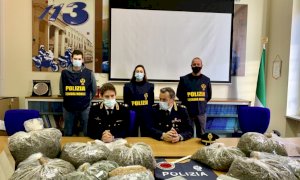 Maxi sequestro della Mobile di Cuneo in una cascina del Monferrato, trovati oltre 47 chili di marijuana