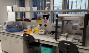 Covid, dalla Regione 10 milioni di euro per potenziare i laboratori pubblici 