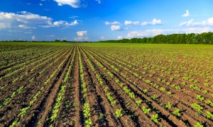 La Regione Piemonte convoca il primo tavolo del partenariato agroalimentare e rurale