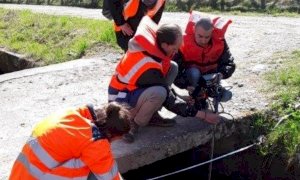 Tra i progetti del Servizio civile anche quello della Provincia 'Grand’Acqua'