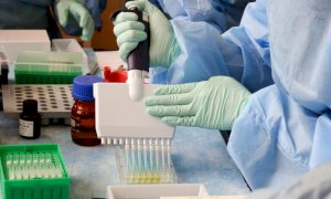 ''I tamponi usati in Piemonte sanno identificare la 'variante inglese' del virus''