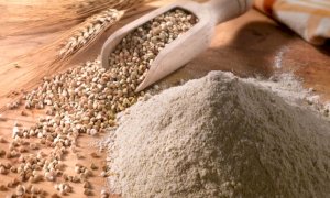 Successo per la filiera del grano saraceno: nel 2020 nella Granda coltivazioni raddoppiate