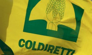 ''Misura 21: indispensabile sostenere tutte le domande delle imprese zootecniche''