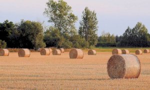 L’appello di Gioventù Nazionale: ‘‘Non si trascuri il settore agricolo nei piani di rilancio’’