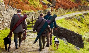 Fauna selvatica, incidenti stradali, danni all’agricoltura e Covid: ci scrive un cacciatore