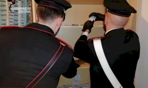 Sei arresti per spaccio di cocaina a Savona: in manette anche una donna di Cherasco