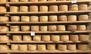 Il patrimonio enogastronomico della Granda per promuovere il turismo outdoor