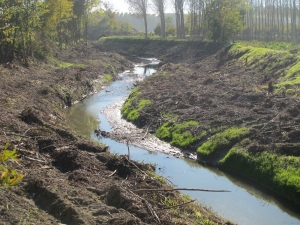 Completamento della pulizia dei torrenti Talloria, Cherasca e Riddone