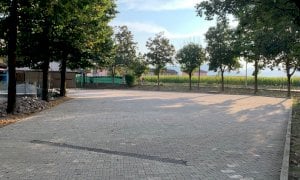 Il tarlo asiatico colpisce ancora: alberi da abbattere in frazione Confreria