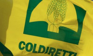 Coldiretti Piemonte: ''Bene l'aumento dei massimali per gli aiuti di Stato all’agricoltura''