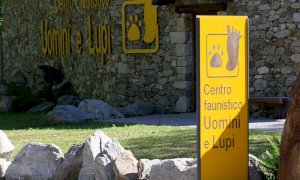 Riaprono musei e mostre del Parco Alpi Marittime
