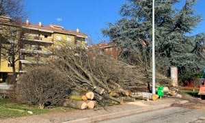 Confreria, l'area attrezzata della frazione non ha più gli alberi intorno