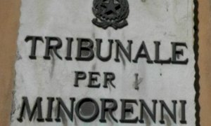 Salvato da una 'challenge' online da una tredicenne cuneese, sarà affidato al suo Comune di residenza