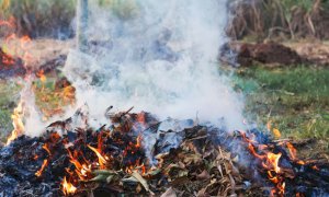 Saluzzo, dal 22 febbraio al 2 marzo deroga al divieto di abbruciamento di scarti vegetali