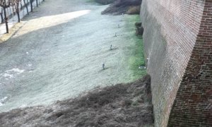 Fossano, studenti e Protezione Civile puliscono la scarpata di viale Sacerdote