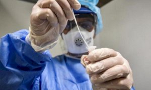 Coronavirus, in Piemonte 771 nuovi casi, 37 decessi e 834 guarigioni