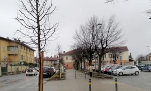 Costigliole Saluzzo, nel giorno di San Valentino piantati dieci tigli lungo il viale
