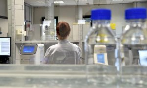 Coronavirus, in Piemonte 765 nuovi casi, 12 decessi e 582 guarigioni