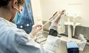 Secondo le stime il 48,2 per cento dei nuovi casi di Covid in Piemonte appartiene alla variante inglese