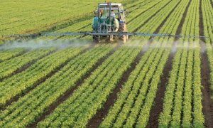 Coldiretti sul piano regionale per la qualità dell'aria: ''Misure penalizzanti per l'attività agricola''